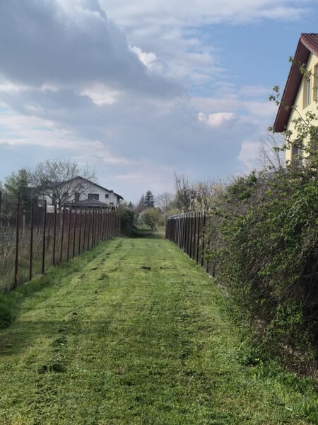 Buftea