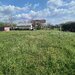 Buftea